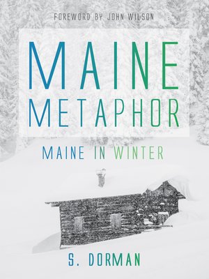cover image of Maine Metaphor